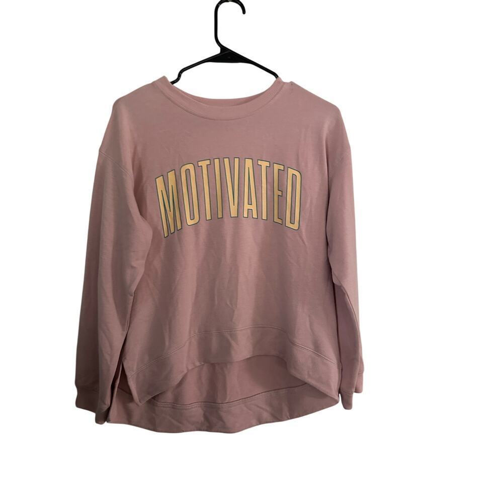 NWT Runway Sweatshirt The Relaxed Hi Lo Crew Neck Graphic Pullover Pink Size L